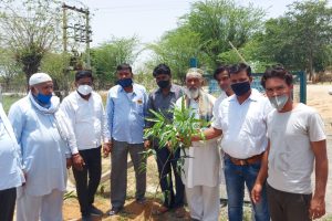 Planting on Environment Day