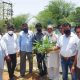 Planting on Environment Day